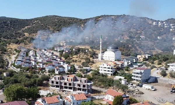 Dikili'de orman yangını... 